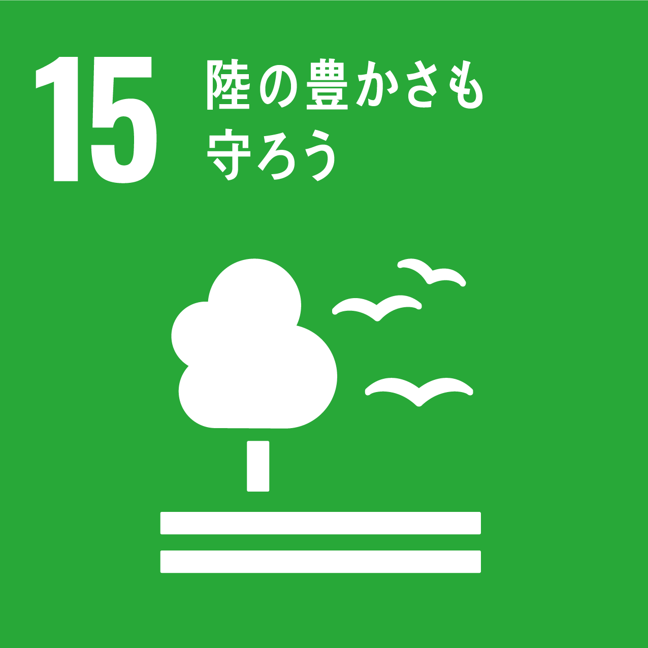  15　陸の豊かさも守ろう