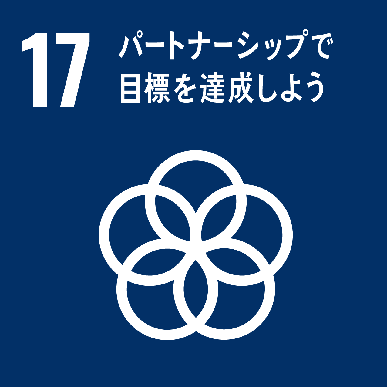  17　パートナーシップで目標を達成しよう